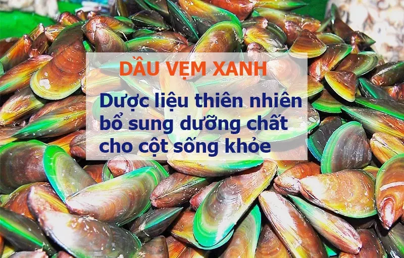 dau-vem-xanh-duoc-lieu-thien-nhien-bo-sung-duong-chat-cho-cot-song-khoa-manh